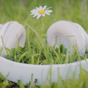 Armonización Musical: Melodías en Sintonía